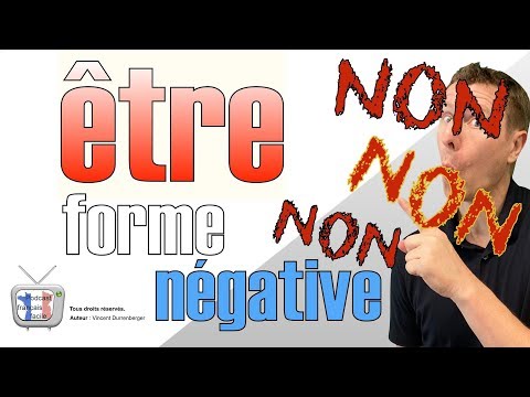 français facile leçon verbe être forme négative