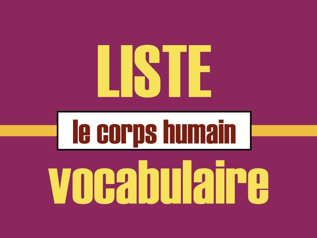 Lexique] Niveau A1/A2 Le corps humain. - Français pour tous