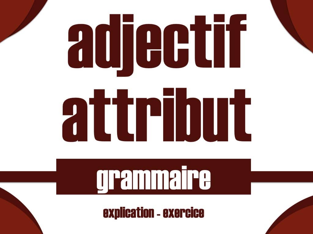 Adjectif Attribut Lecon Et Activite Simple Pour Apprendre L Accord