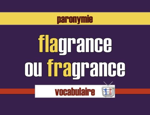 Fragrance ou flagrance : paronymes