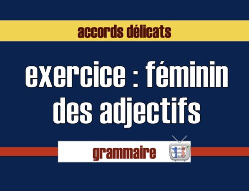 Exercice sur les adjectifs au féminin