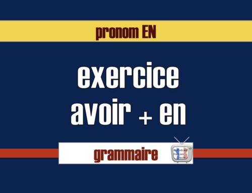 Exercice : avoir du, de la, des