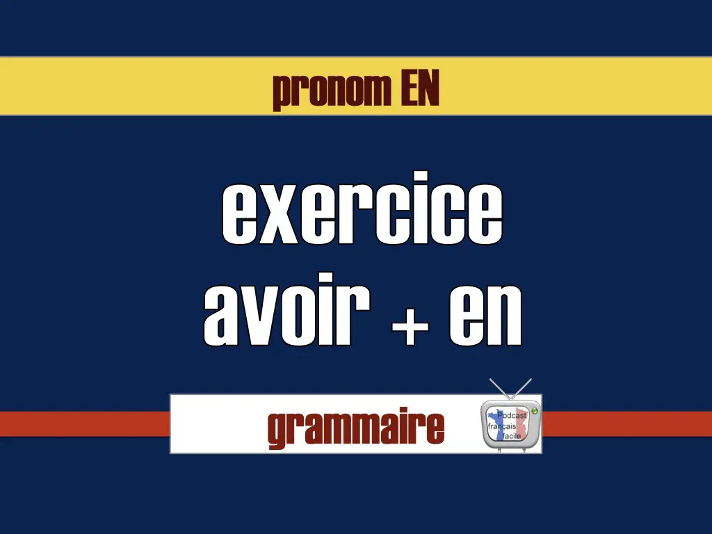 Exercice : avoir du, de la, des