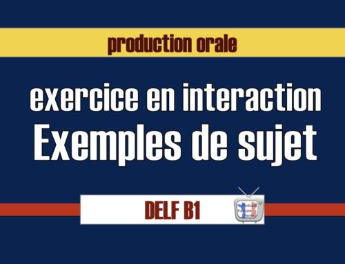 Exercice en interaction Delf B1 production orale