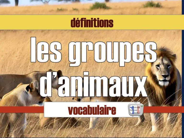 les noms de groupes d'animaux