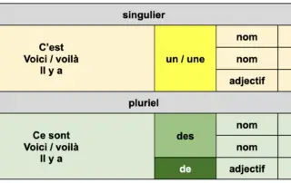 articles indéfinis - leçon en français facile