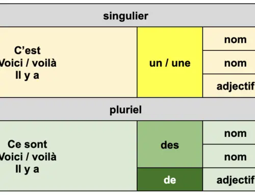 L'article indéfini - leçon en français facile