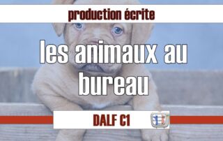 animal de compagnie au bureau