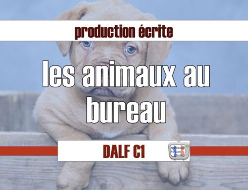 Les animaux de compagnie au bureau – Essai argumenté C1