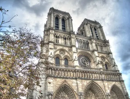 Naissance et renaissance de Notre-Dame de Paris