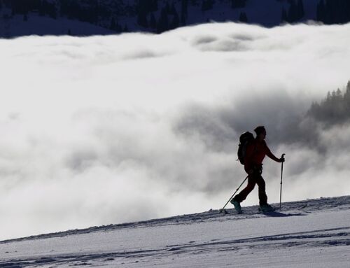 Les amis d’Alex –  le récit partie 36 – sur les skis